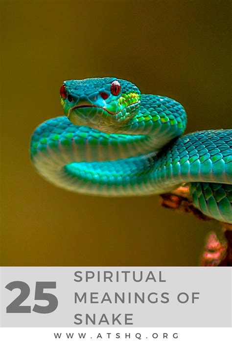The Serpent Warrior Talisman: A Guide to Channeling Serpent Energy